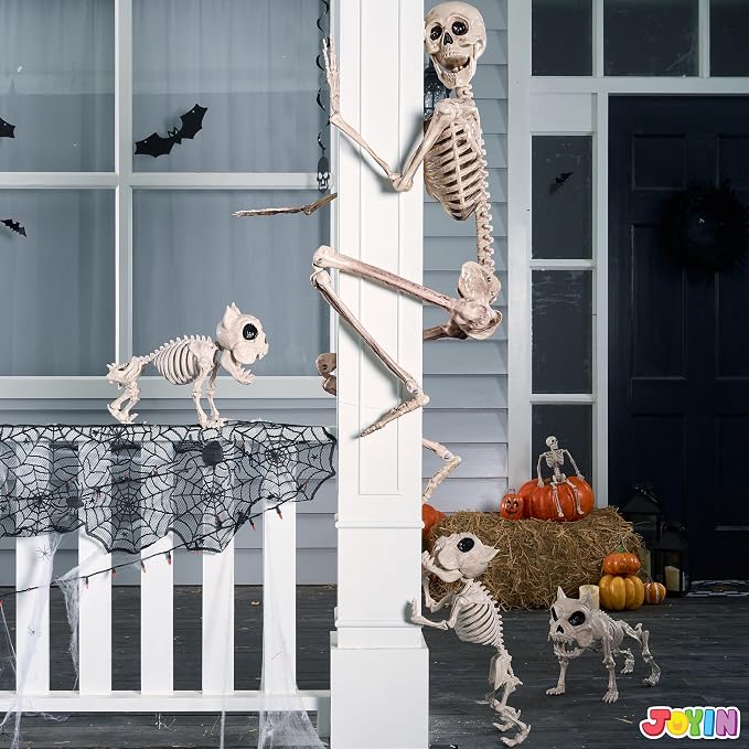 JOYIN 5.6 FT Halloween Posable Life Size Skeleton, Full Body Realistic Bones with Movable Joints, Giant Skeletons Halloween Decorations for Indoor Outdoor Haunted House Props, Spooky Scene Party Decor