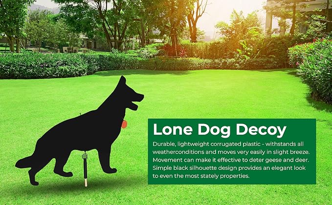 Lone Dog Decoy - Predator Decoys, Repellent for Geese, Deer - Goose Deterrent, Dog Decoy to Keep Away Pests - Predator Replica Visual Scare Device