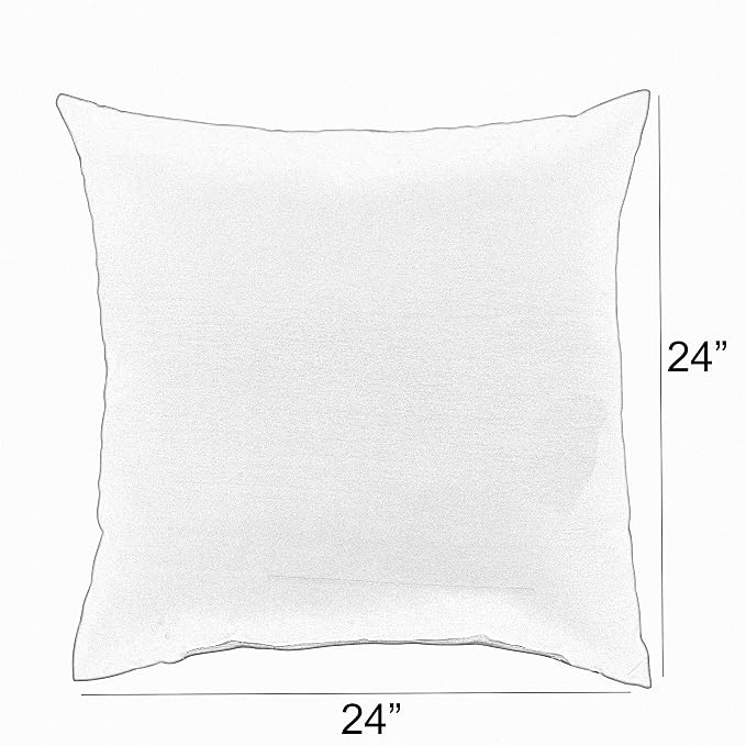 Sorra Home x Sunbrella Direction Dew Outdoor/Indoor Corded Pillow Set of 2 24 in H x 24 in W x 6 in D